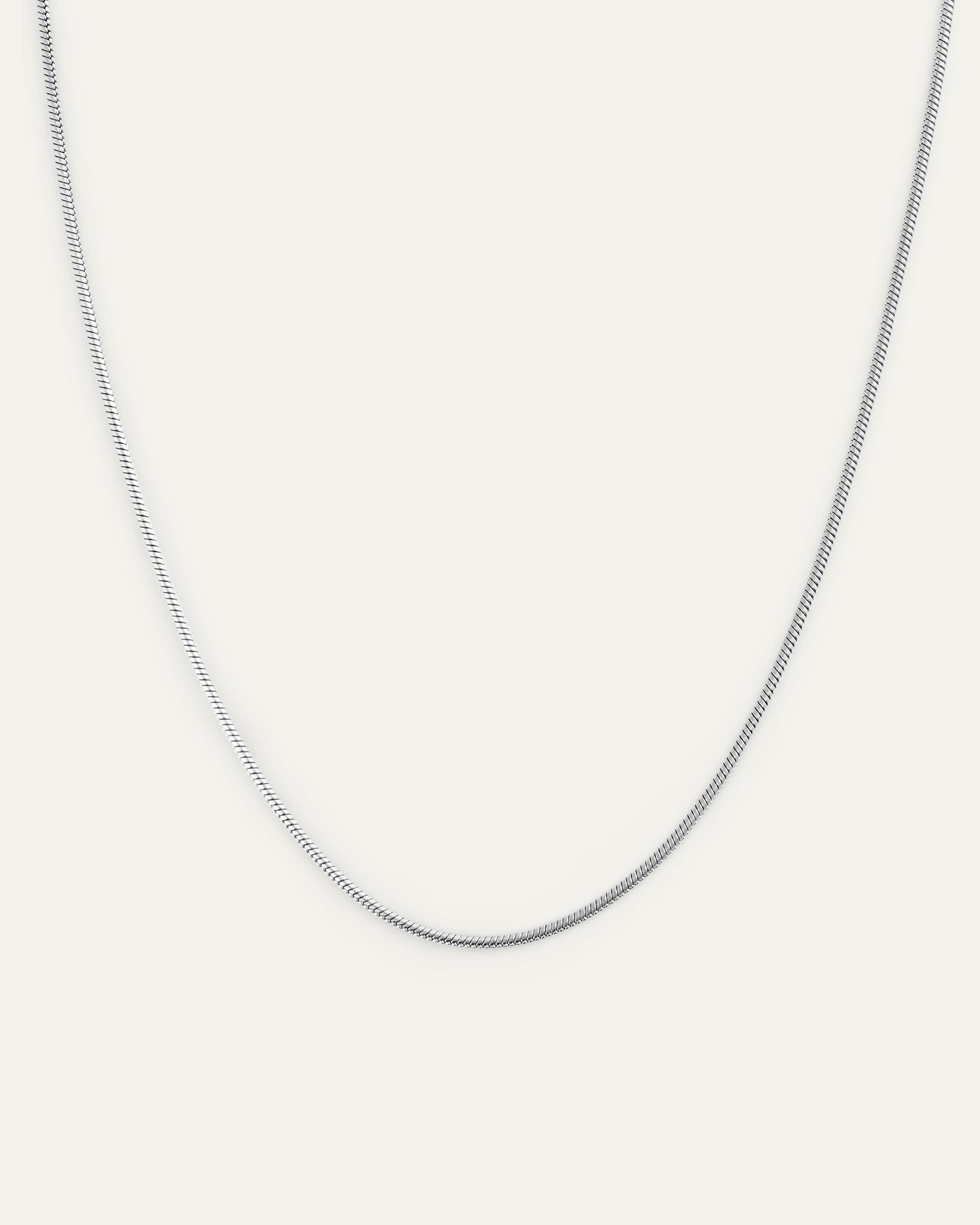 Snake Chain Necklace